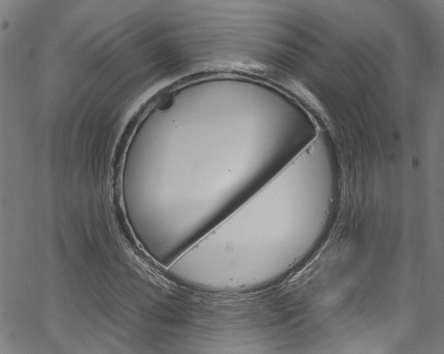 X0000064751020200602100953