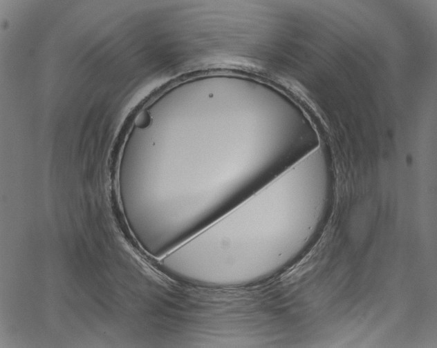 X0000064751024200602100953