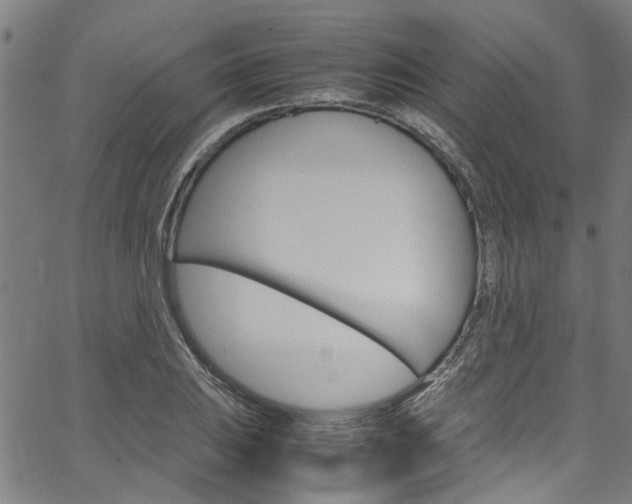 X0000064751031200602100953