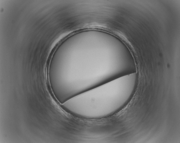 X0000064751032200602100953