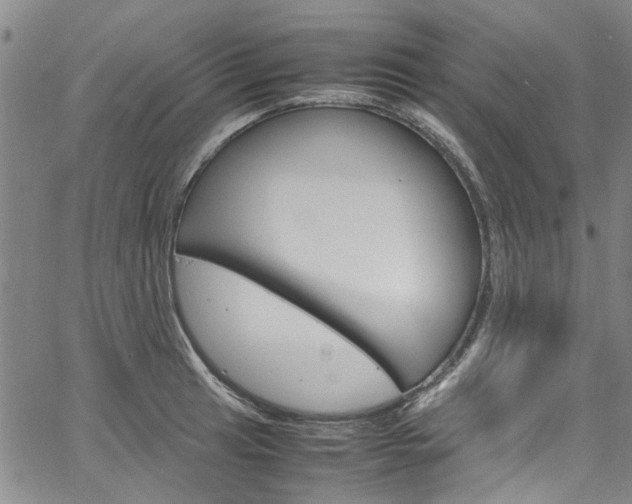 X0000064751041200602100953