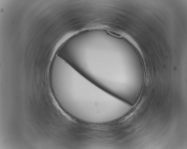 X0000064751053200602100953