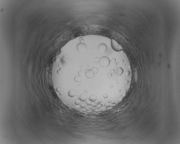 X0000064751059200602100953