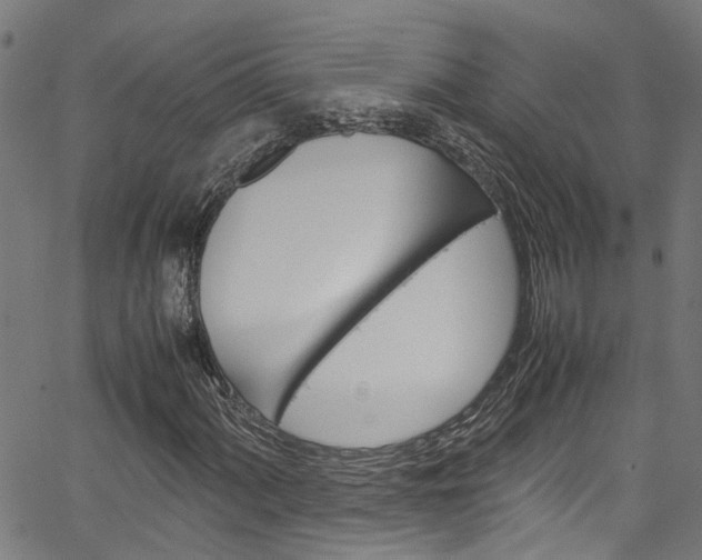 X0000064751060200602100953