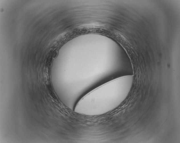 X0000064751062200602100952