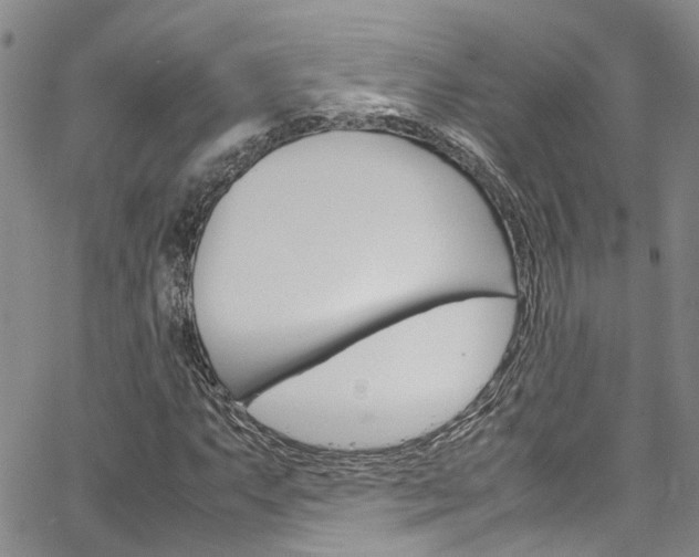 X0000064751063200602100952