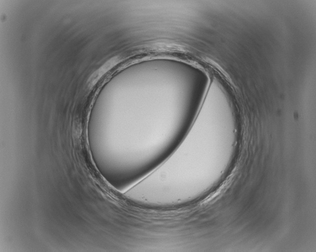 X0000064751065200602100952