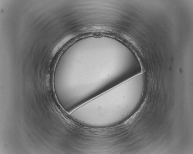 X0000064751066200602100952