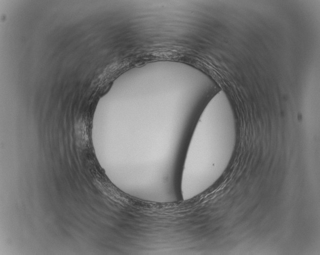 X0000064751106200602100951