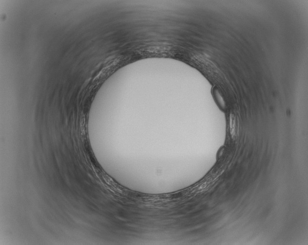 X0000064751107200602100951