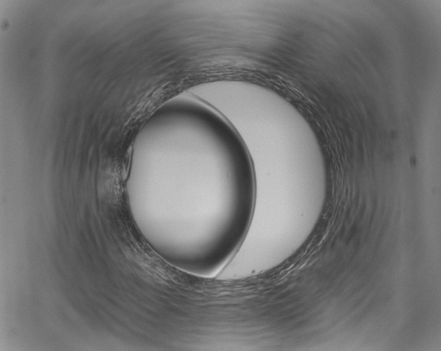 X0000064751108200602100951