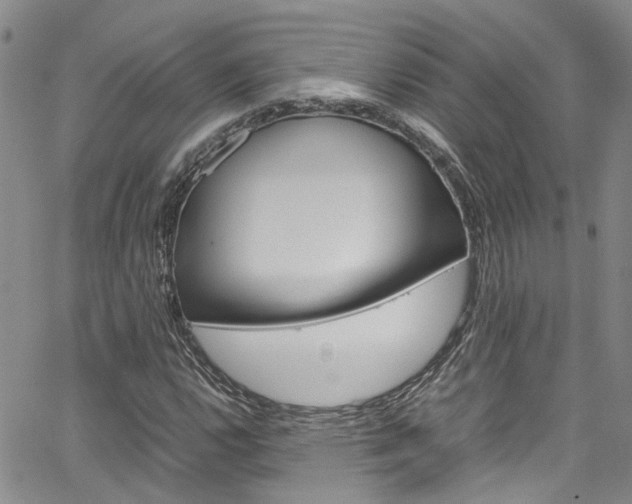 X0000064751112200602100951