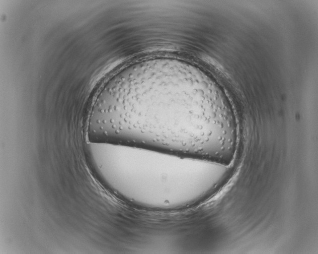 X0000064751113200602100951