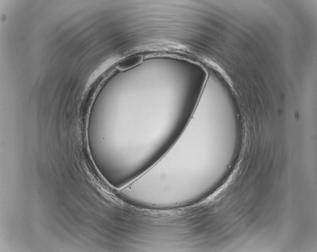 X0000064751114200602100951
