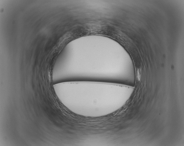 X0000064751155200602100951