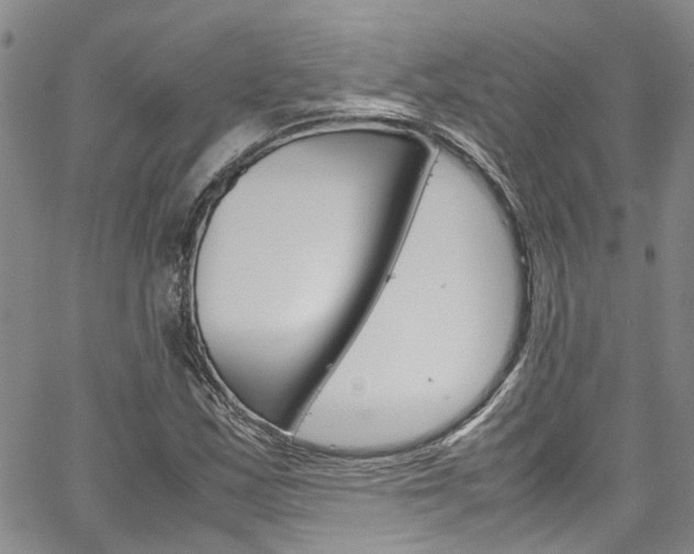 X0000064751163200602100951