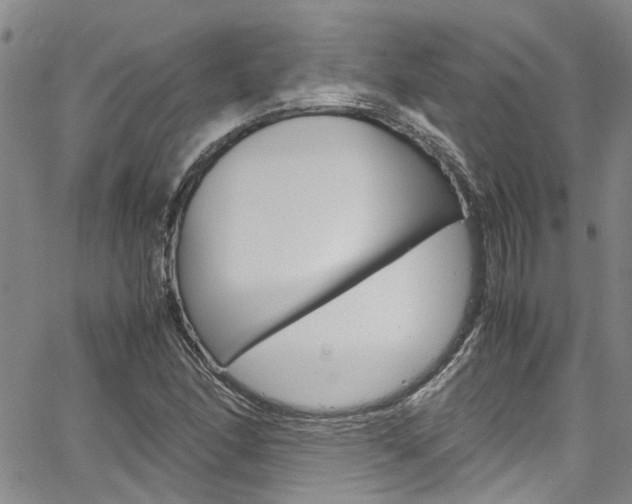 X0000064751166200602100951