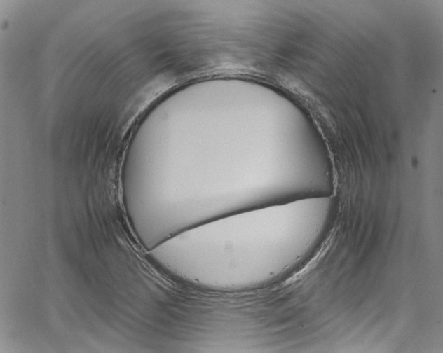 X0000064751170200602100951