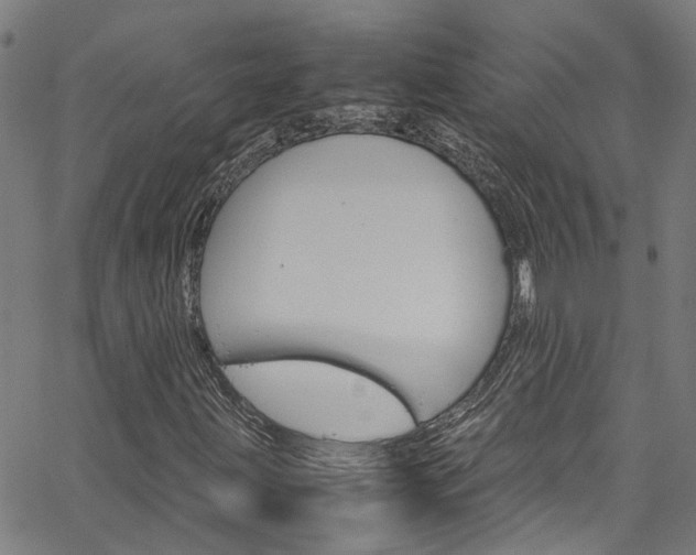 X0000064751203200602100950