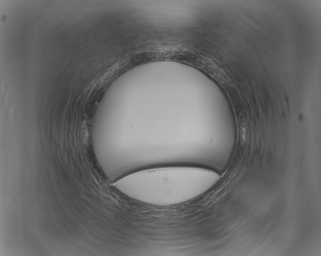 X0000064751204200602100950