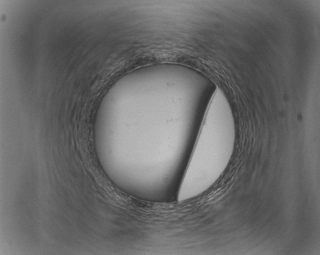 X0000064751249200602100949
