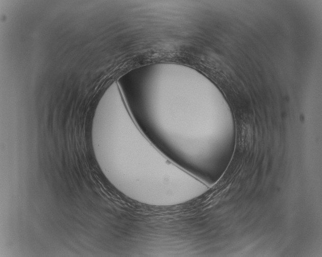 X0000064751250200602100949