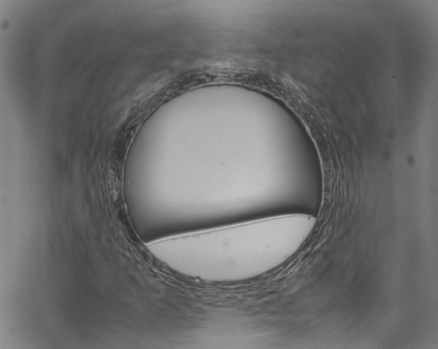 X0000064751253200602100949