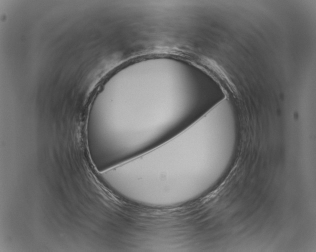 X0000064751260200602100949