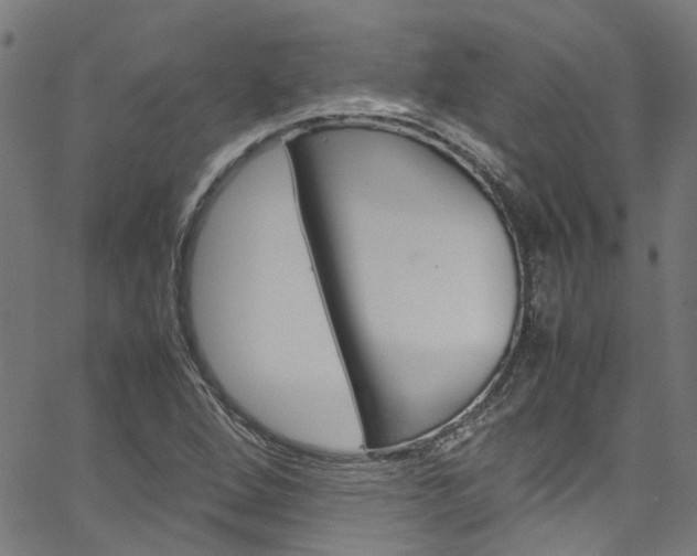 X0000064751264200602100949
