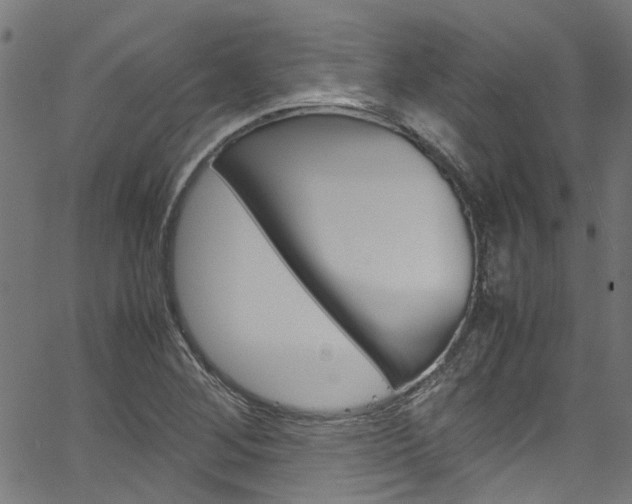 X0000064751268200602100949