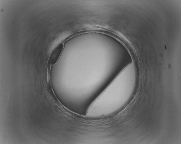 X0000064751269200602100949