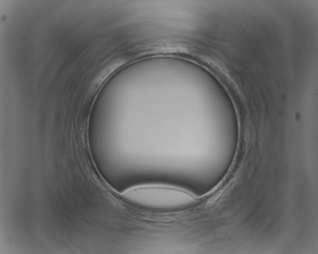 X0000064751273200602100949
