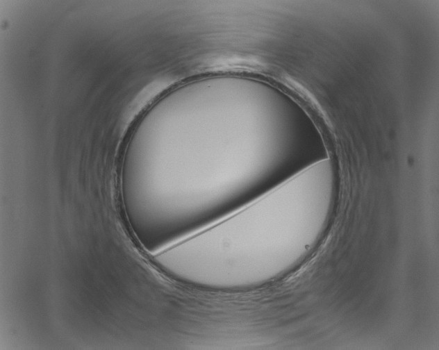 X0000064751277200602100949