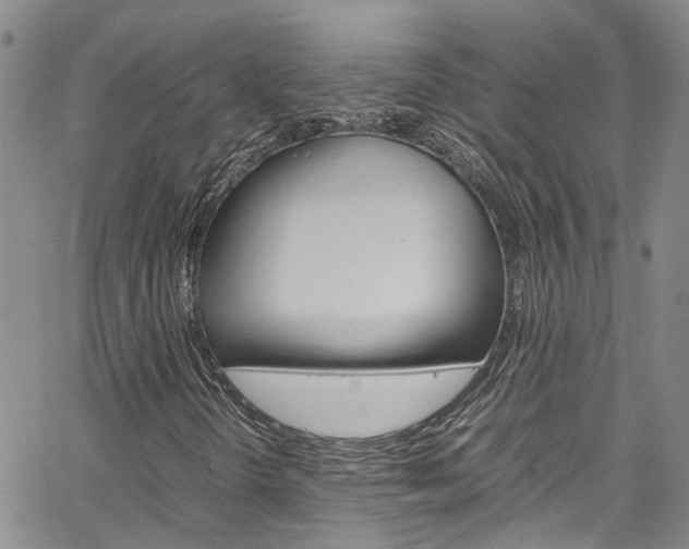 X0000064751298200602100948