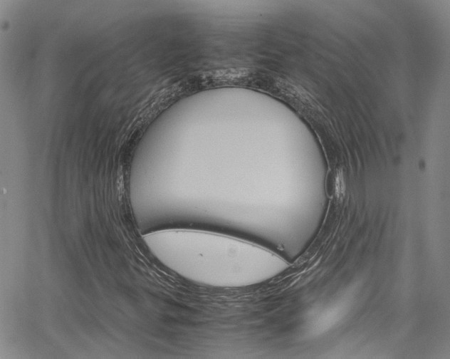 X0000064751299200602100948