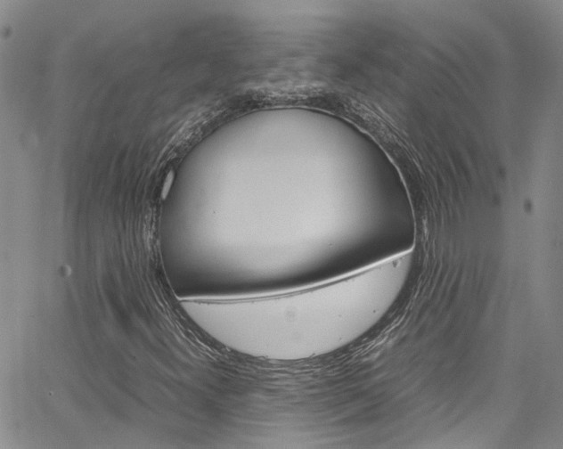 X0000064751300200602100948