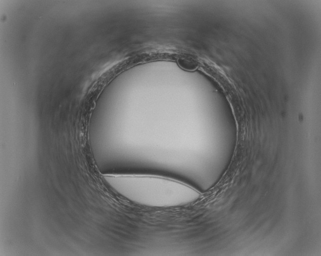 X0000064751303200602100948