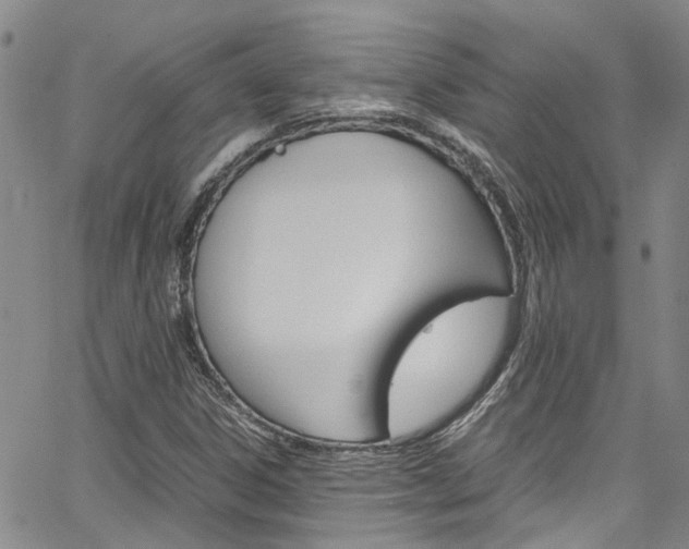 X0000064751306200602100948
