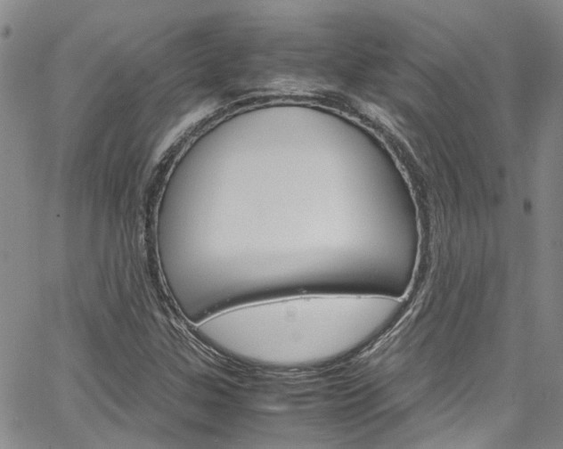 X0000064751307200602100948