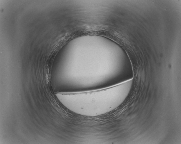 X0000064751348200602100948