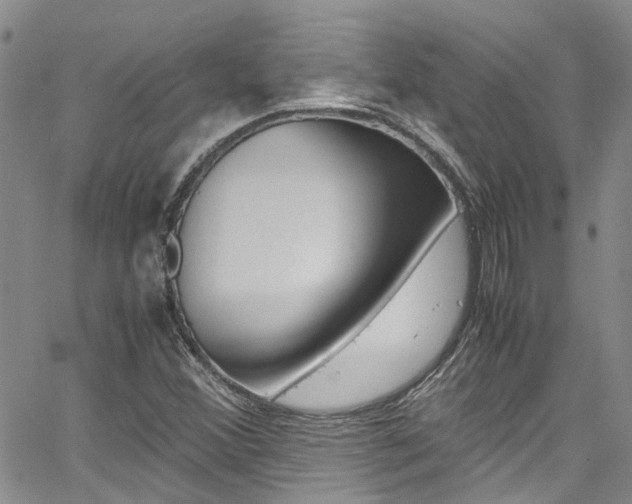X0000064751356200602100948