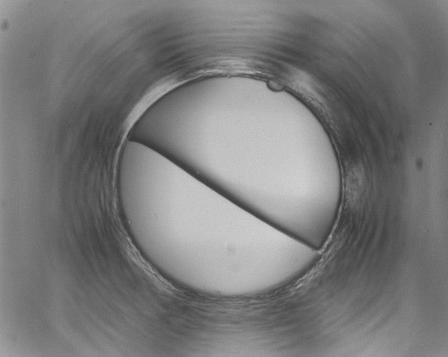 X0000064751378200602100947