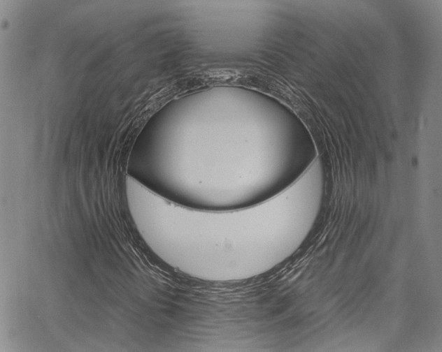 X0000064751394200602100946