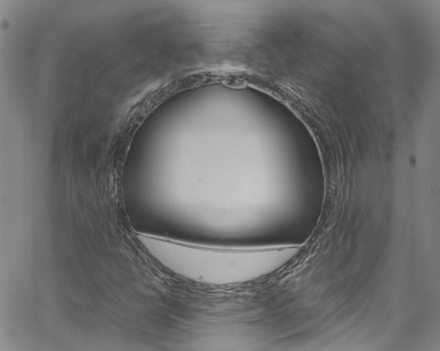 X0000064751398200602100946