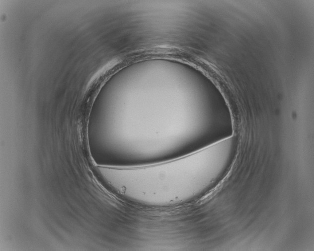 X0000064751402200602100946