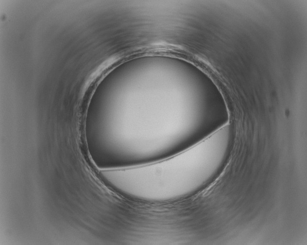 X0000064751410200602100947