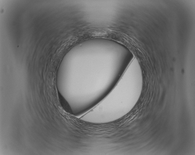 X0000064751441200602100946
