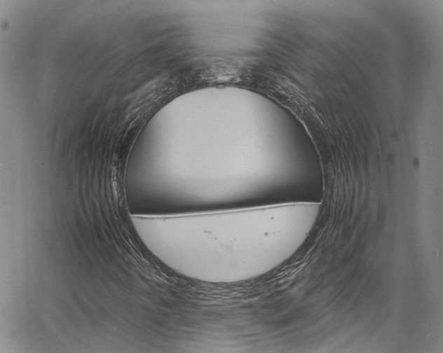 X0000064751442200602100946