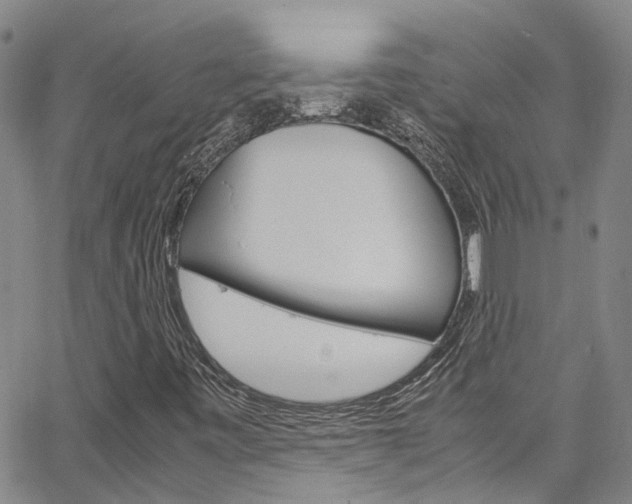 X0000064751443200602100946