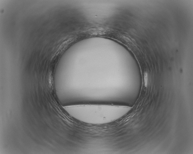 X0000064751444200602100946